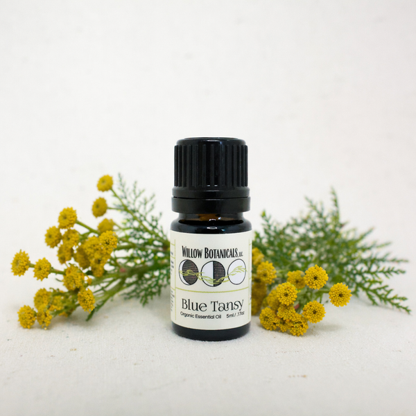 Blue Tansy Essential Oil