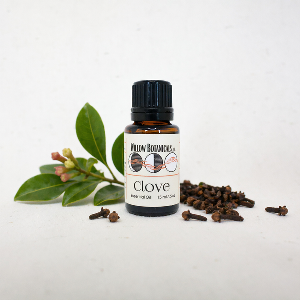 Clove Essential Oil