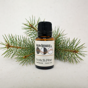 Scotch Pine Essential Oil