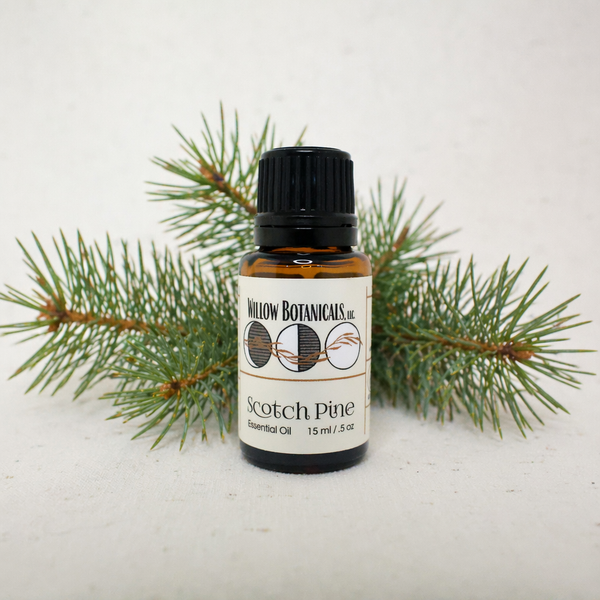 Scotch Pine Essential Oil