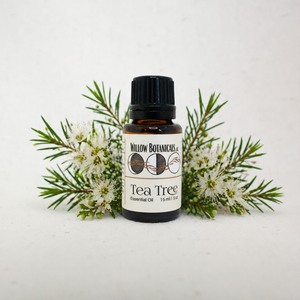 Tea Tree Essential Oil